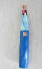 ZR-IA-DJYVRP阻燃型本安計算機電纜